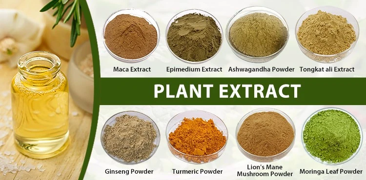 Natural Plant Extract Manufacturers And Suppliers
