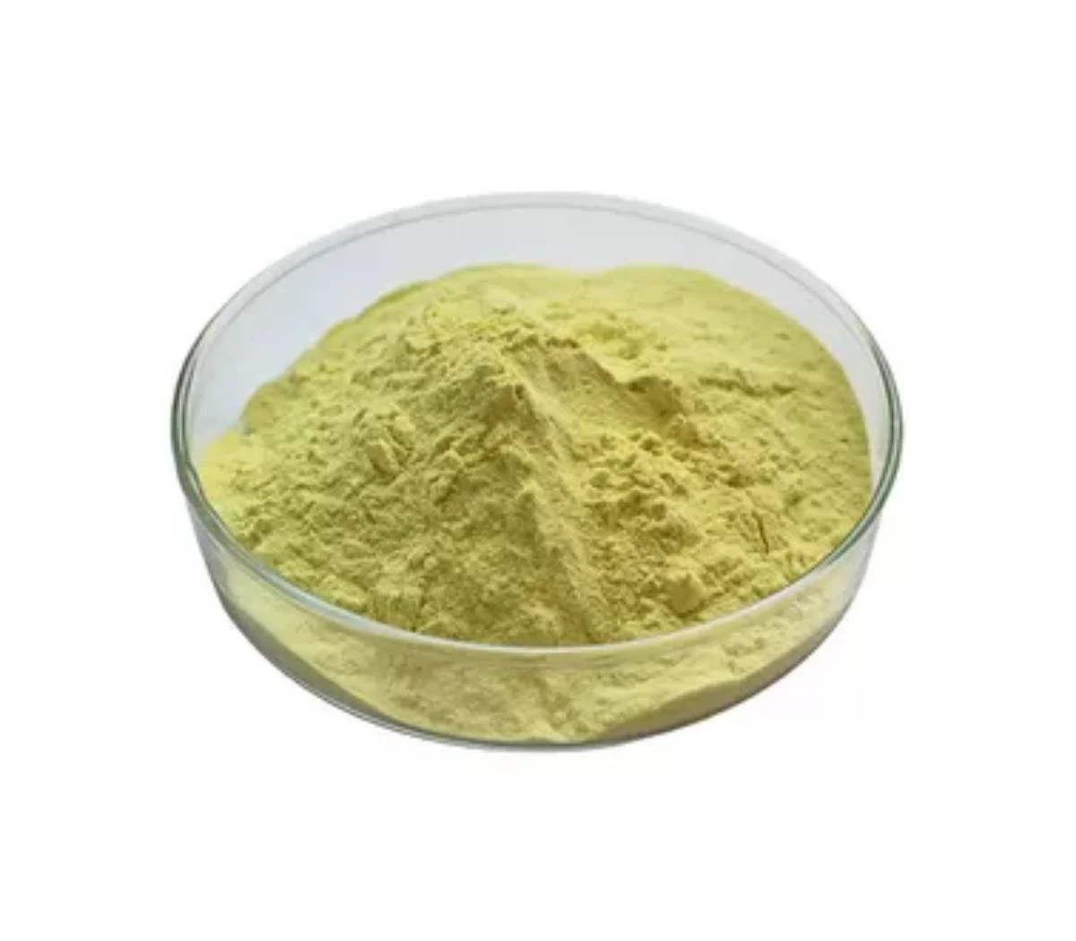 Baicalensis Root Extract Powder Baicalensis Root Extract Powder