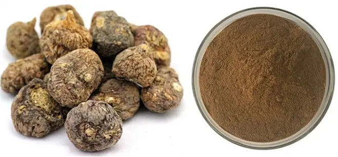 Maca root powder Maca root powder