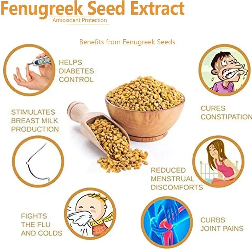  Fenugreek Extract Benefits