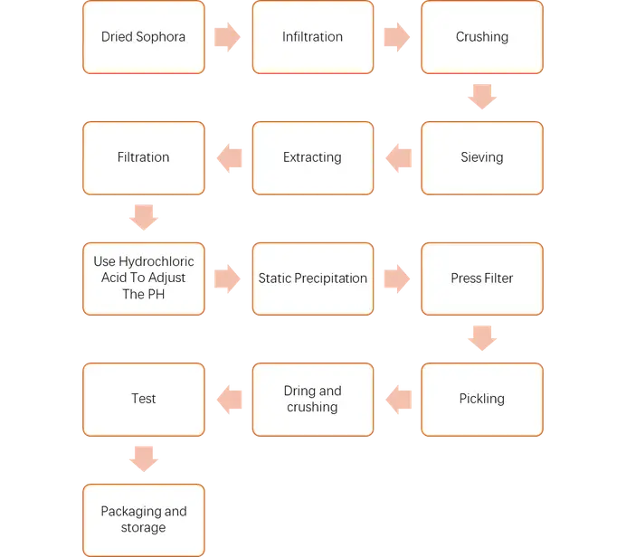 Rutin Production Process