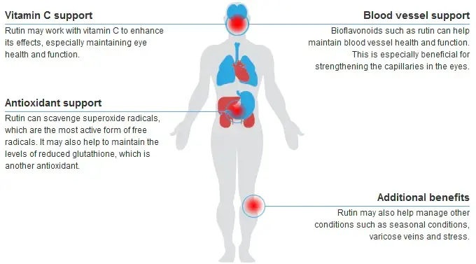 rutin powder benefits rutin powder benefits