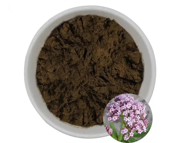 Valerian root extract powder