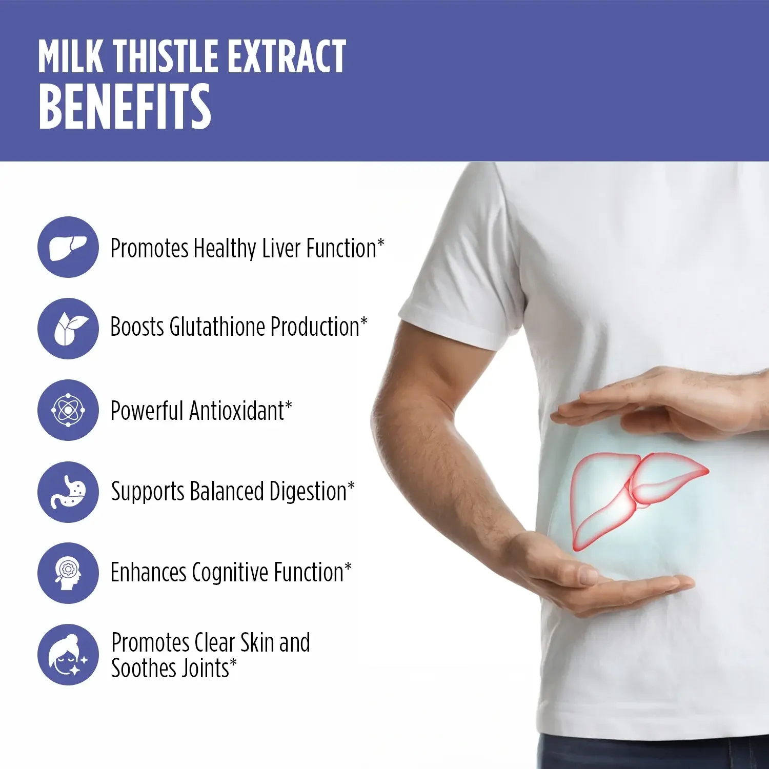 Milk thistle extract benefits Milk thistle extract benefits