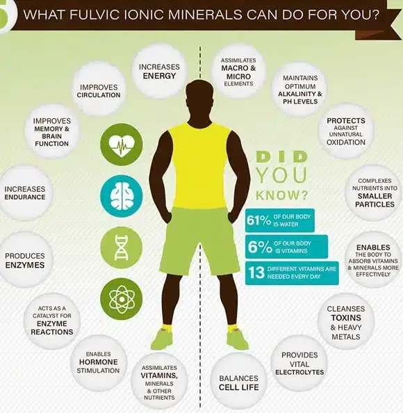 Fulvic Acid supplement benefits. Fulvic Acid supplement benefits.
