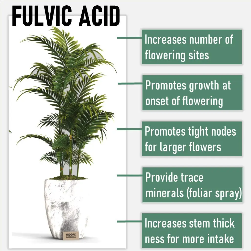 Fulvic Acid For Plant Fulvic Acid For Plant