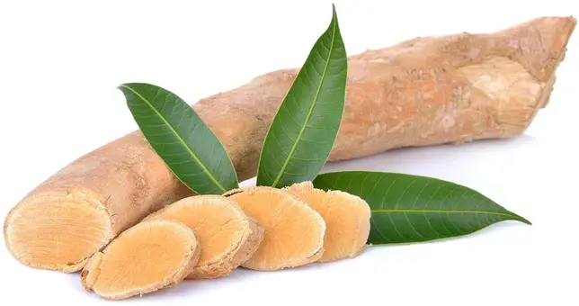 Tongkat root Tongkat root