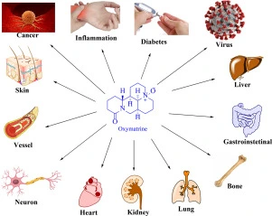 Oxymatrine benefits Oxymatrine benefits