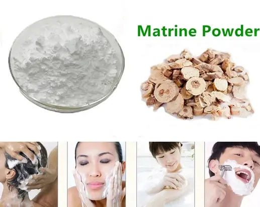 Sophora flavescens root extract for skin Sophora flavescens root extract for skin