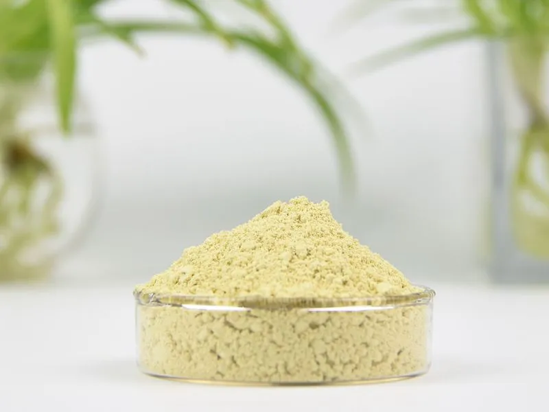 Best Luteolin Manufacturer Best Luteolin Manufacturer