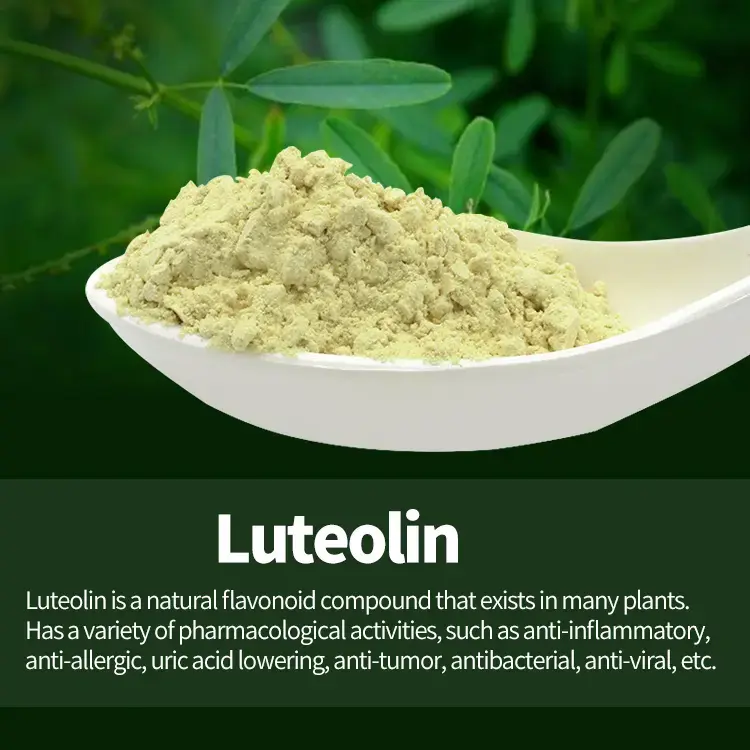 Wholesale Luteolin Luteolin 98% Wholesale Luteolin Luteolin 98%