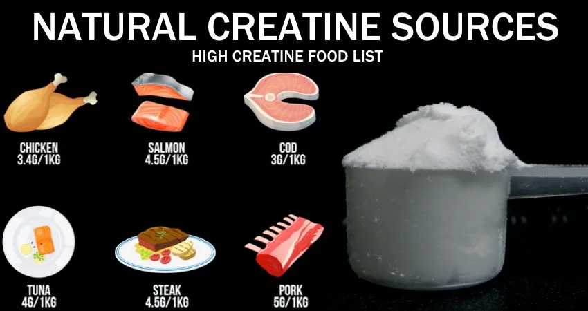 Natural Sources of Creatine Powder Natural Sources of Creatine Powder