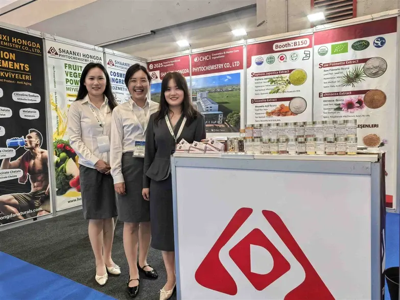 Turkish exhibition 2025