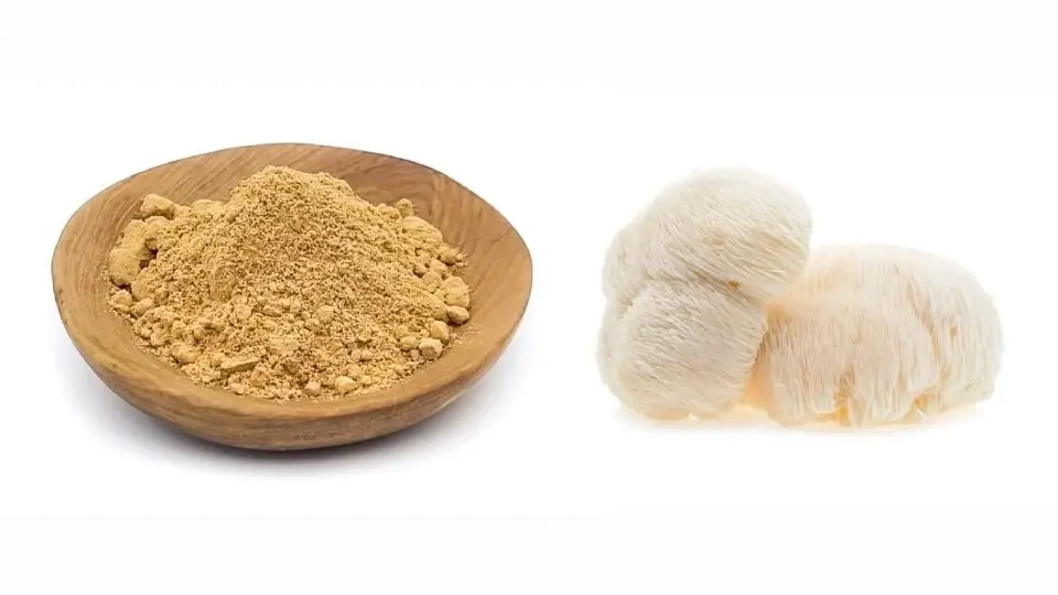 Lion's Mane Mushroom Extract Powder