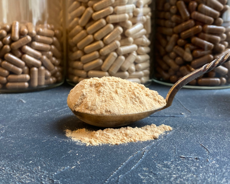 Lion's mane mushroom extract powder 