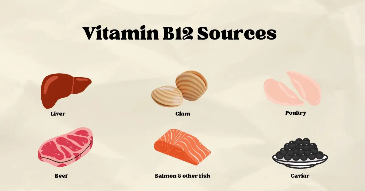 Vitamin B12 riched in foods Vitamin B12 riched in foods