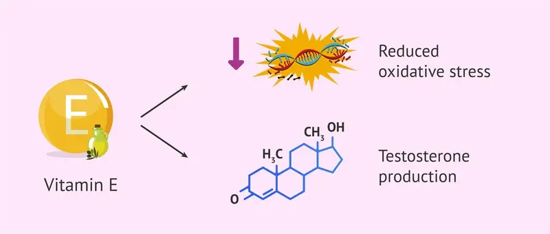 tocopherols