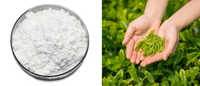 L-Theanine
