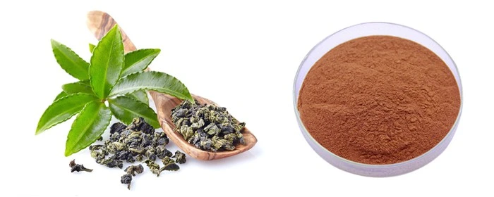 Catechin Catechin