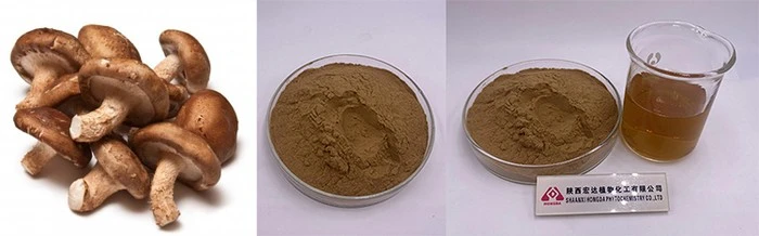 Lentinan polysaccharide