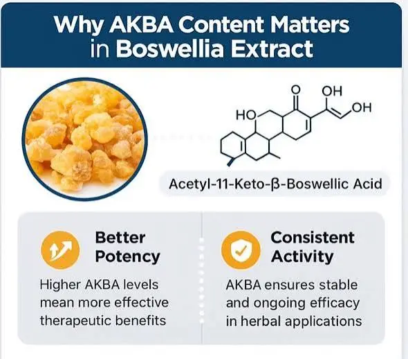 Boswellia serrata extract AKBA