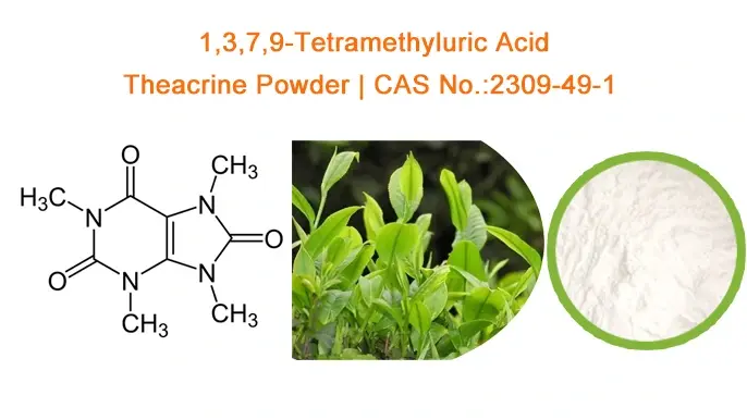 Theacrine Powder Theacrine Powder