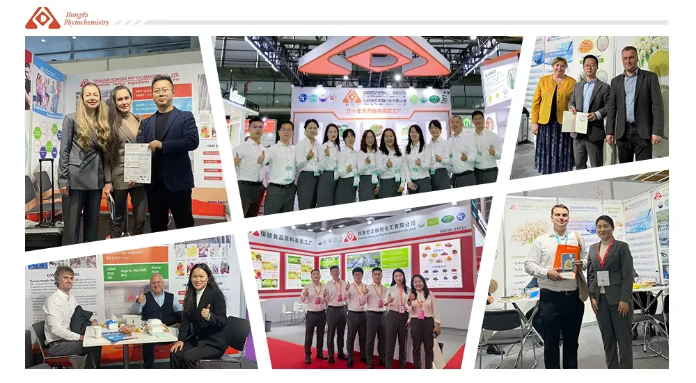 exhibitions
