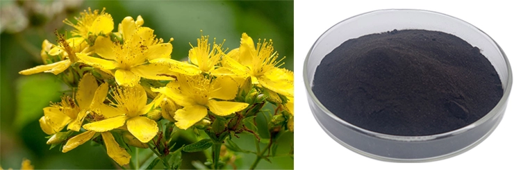 Hypericin Extract