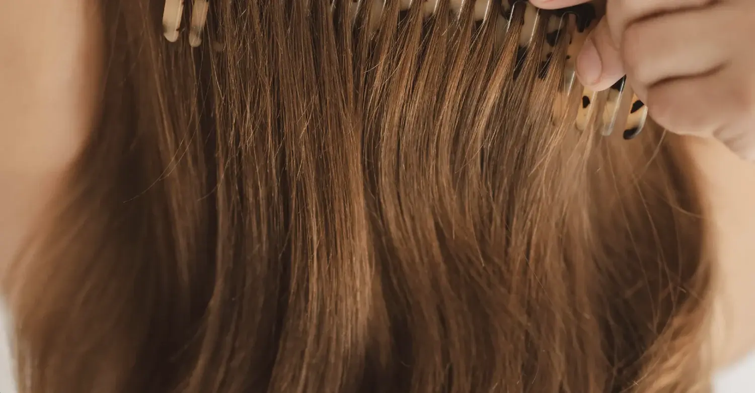 Saw Palmetto Extract Powder For Hair Saw Palmetto Extract Powder For Hair