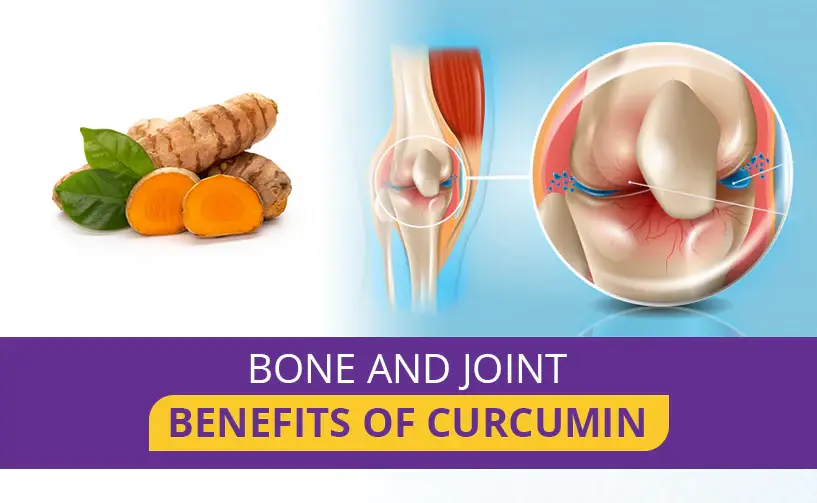 Curcumin Powder for Joint Health