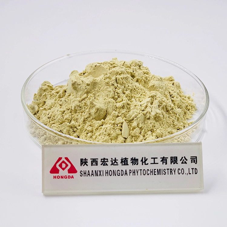 gynostemma extract gynostemma extract