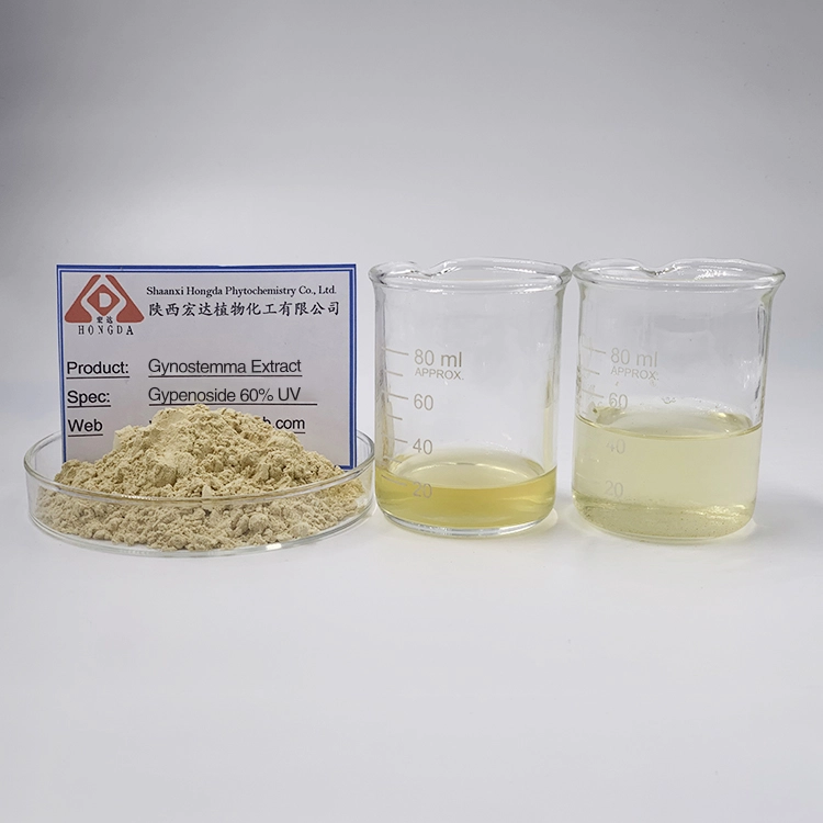 Gynostemma Extract Gynostemma Extract