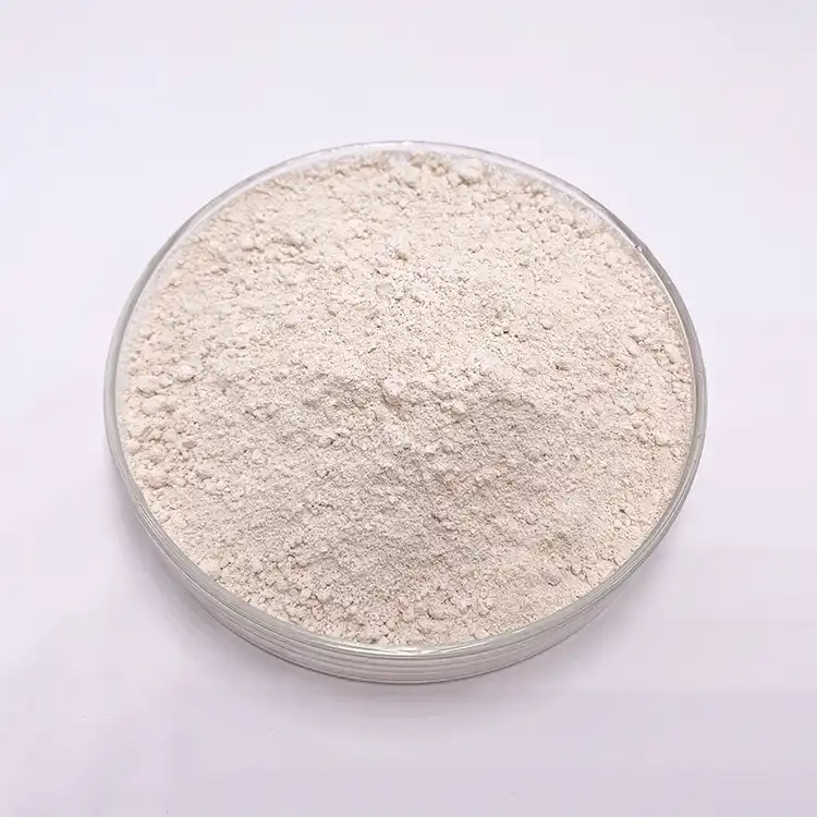 Organic garcinia cambogia powder