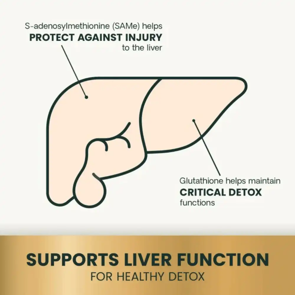 S-Adenosyl-L-Methionine Powder For Liver S-Adenosyl-L-Methionine Powder For Liver