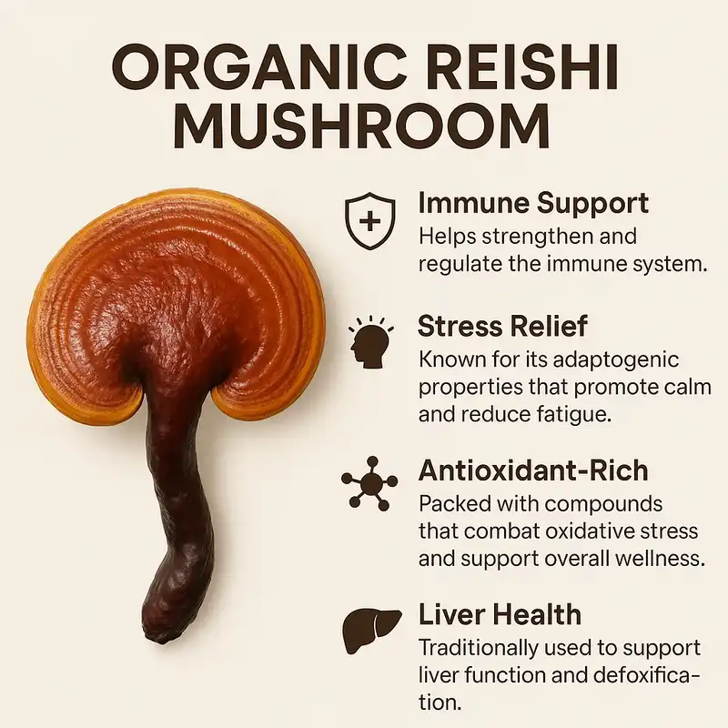 reishi mushroom powder benefits