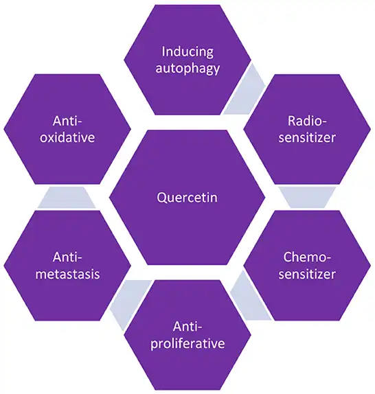 quercetin benefits