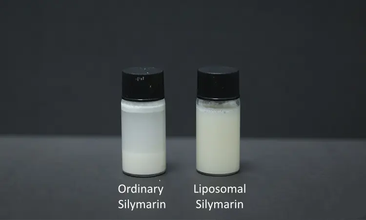 Liposomal Technology