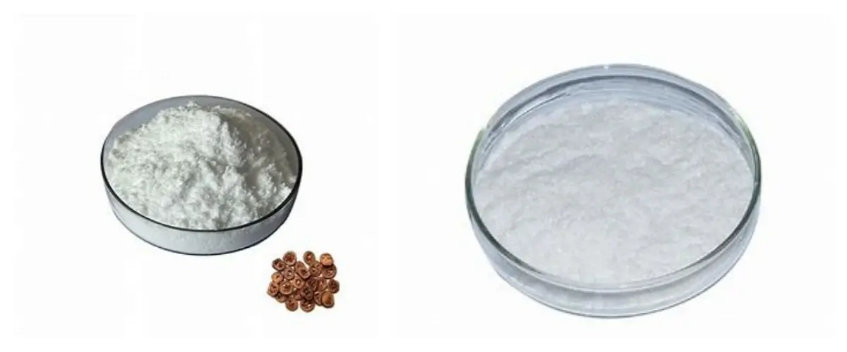 Synephrine Powder Synephrine Powder