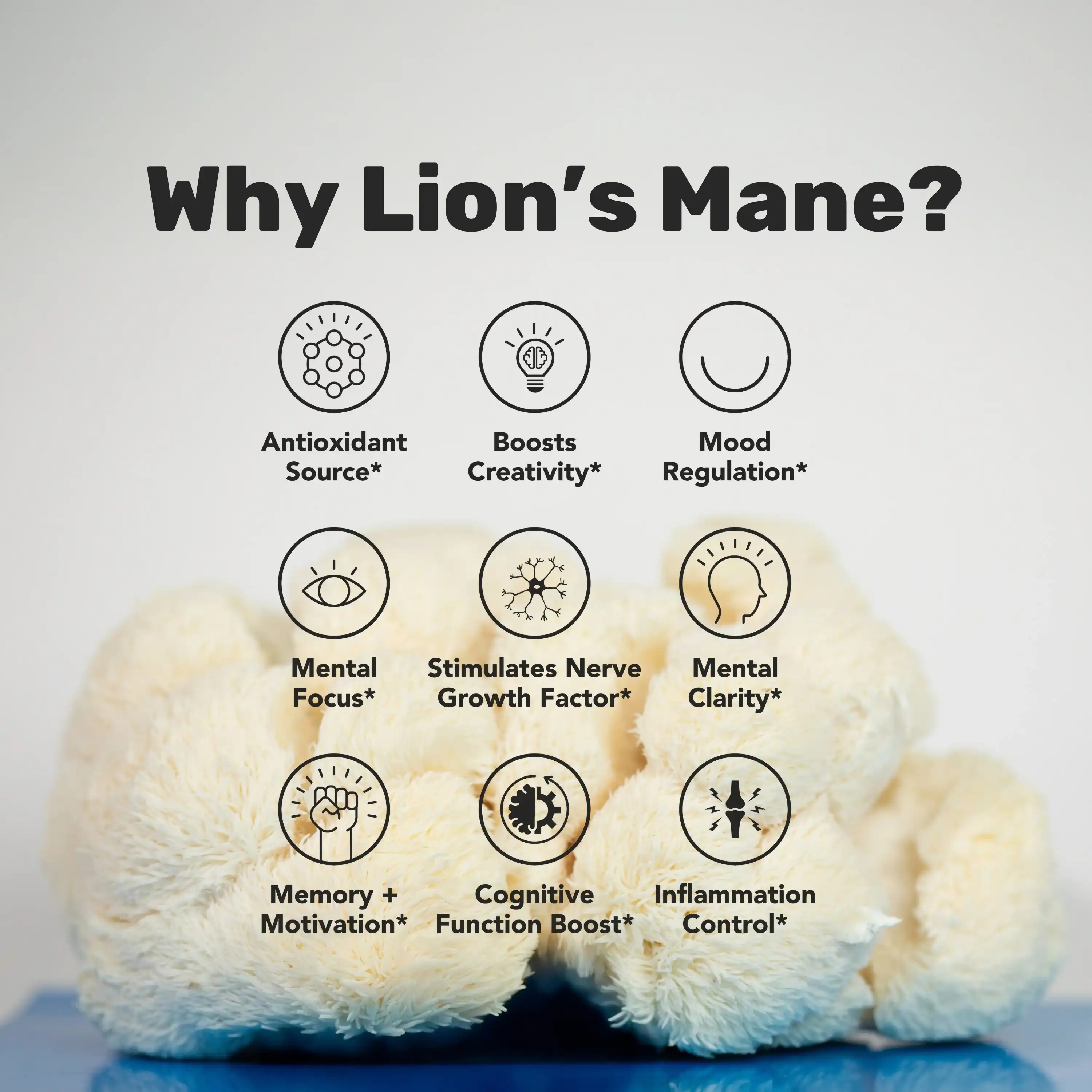 Lion's Mane Mushroom Extract Powder Benefits 