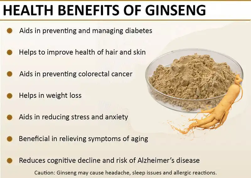 Gensing root extract benefits Gensing root extract benefits