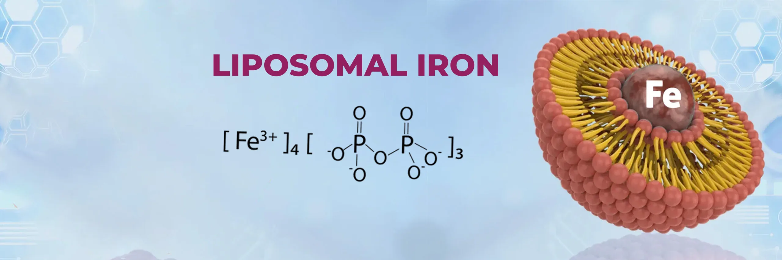  liposomal iron powder