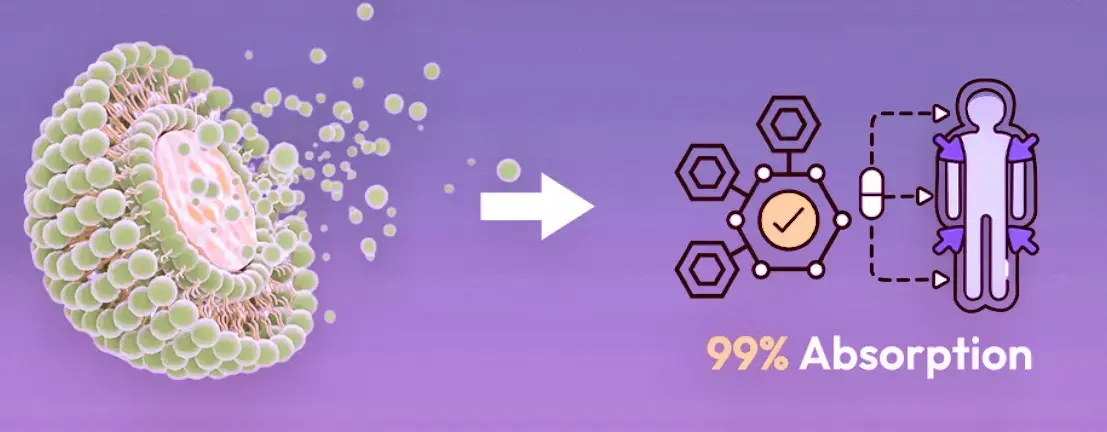 Liposomal Iron advantages Liposomal Iron advantages