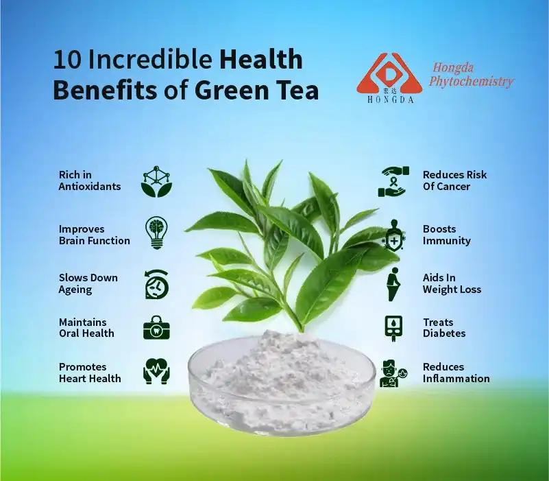 Green tea extract powder benefits Green tea extract powder benefits