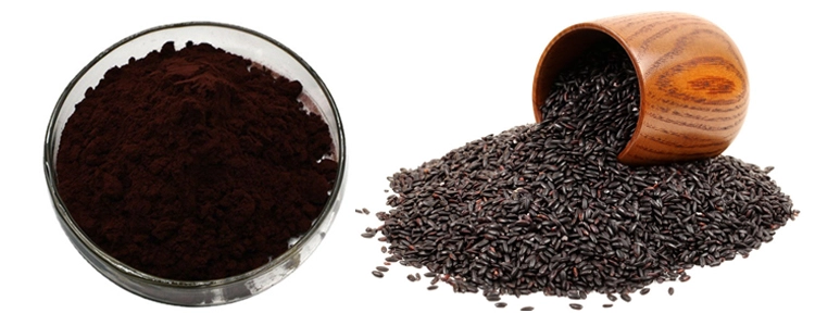 black rice extract