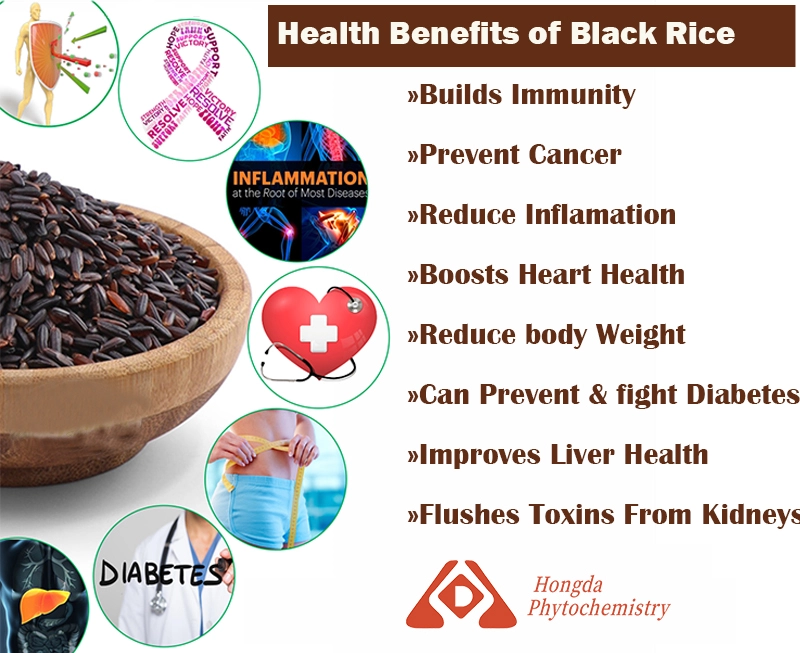 black rice extract powder black rice extract powder