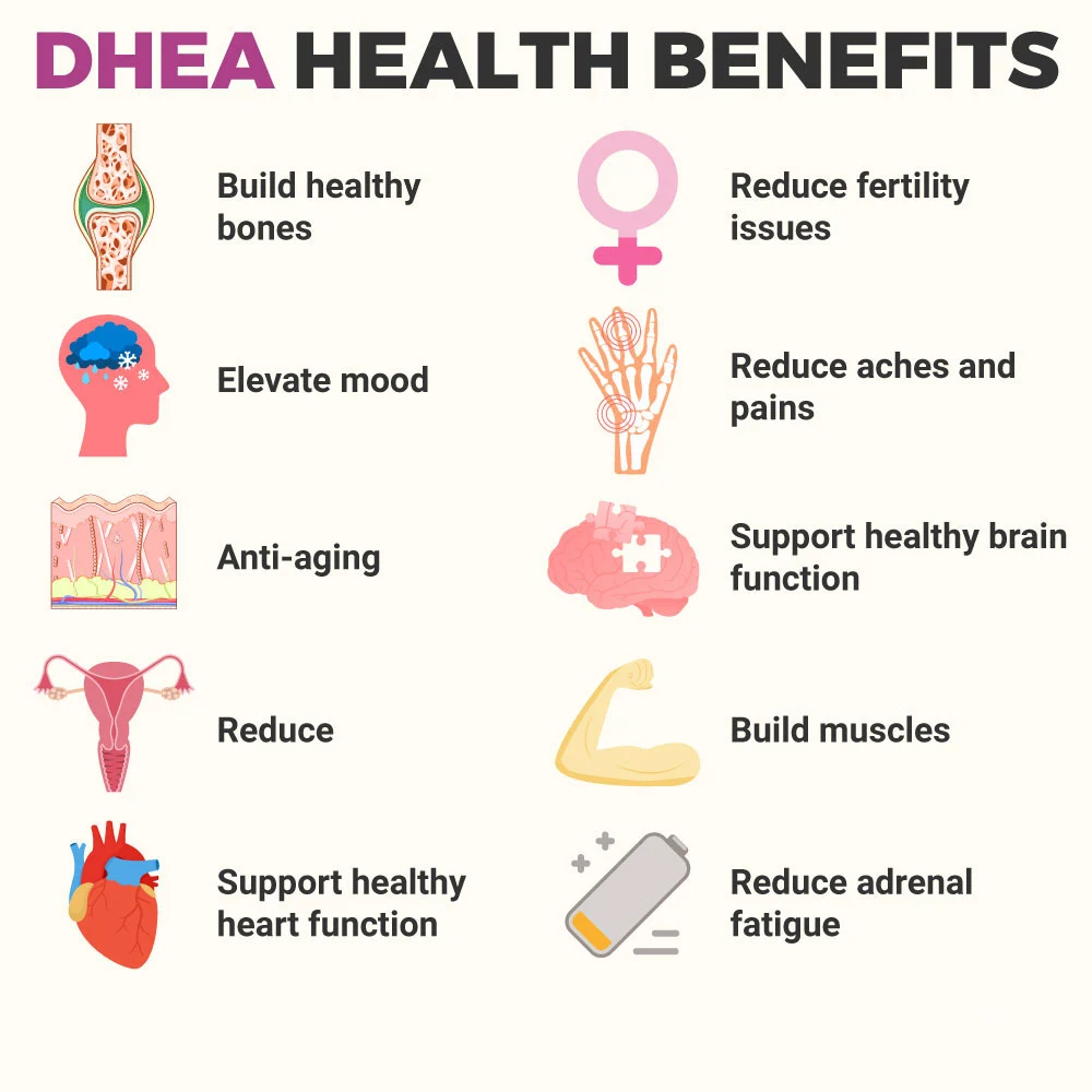DHEA benefits
