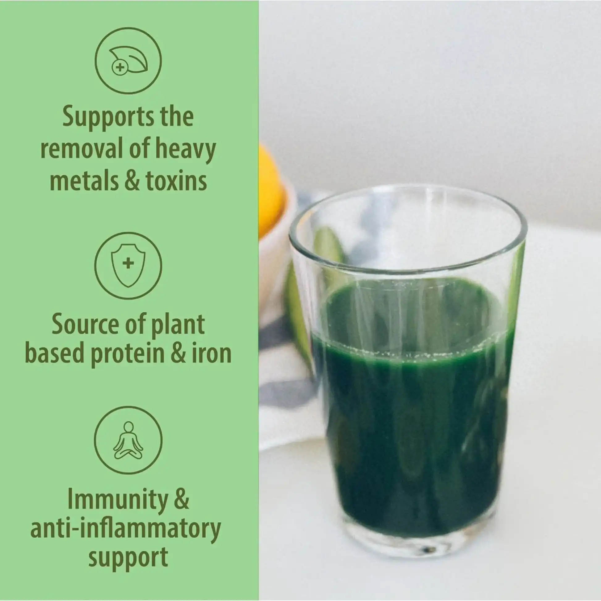 Chlorella Powder Benefits Chlorella Powder Benefits