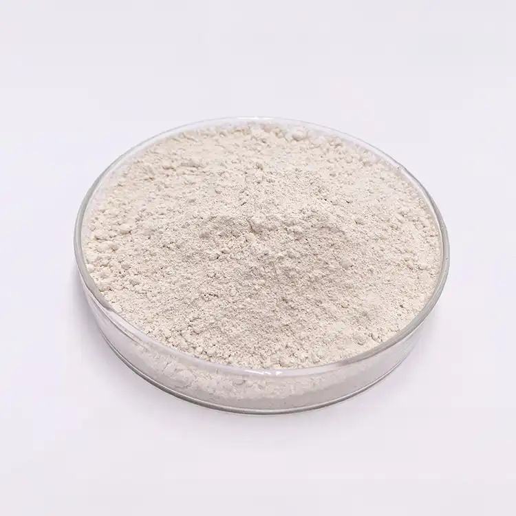 Garcinia Cambogia Extract Powder