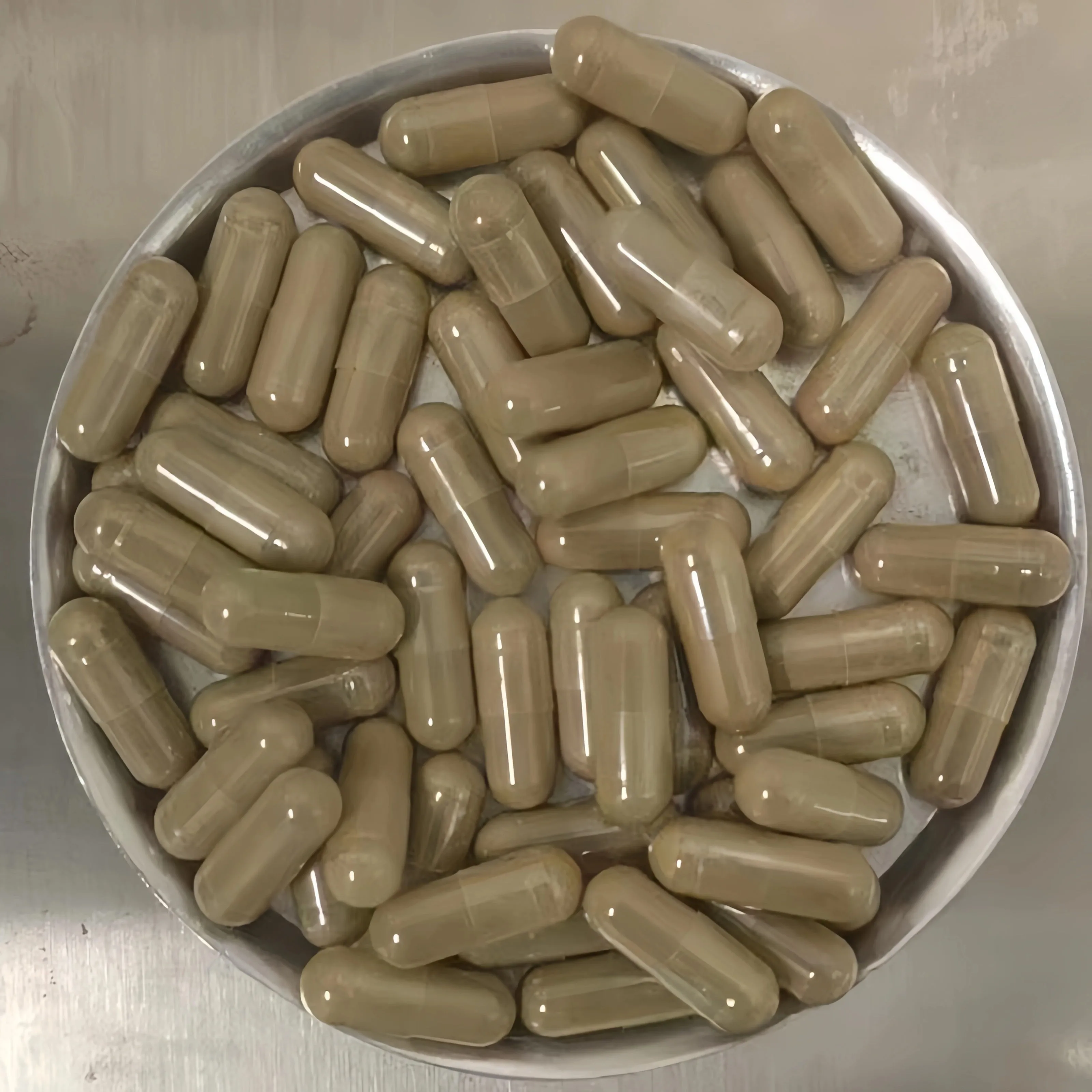 Tribulus terrestris extract capsules