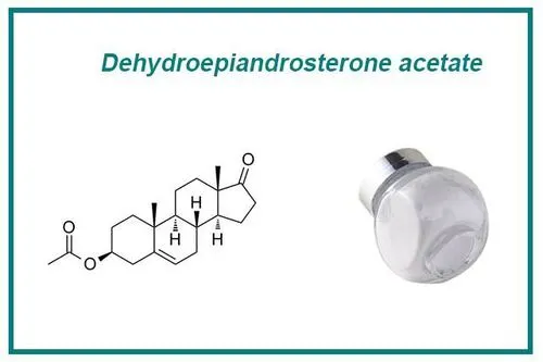 DHEA powder DHEA powder